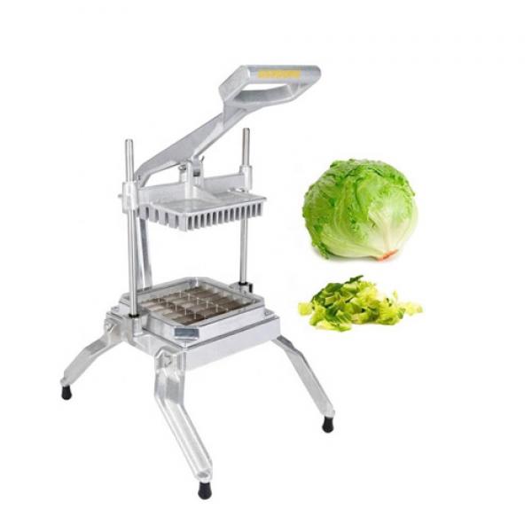 Vegetable Cutter (JG-12)