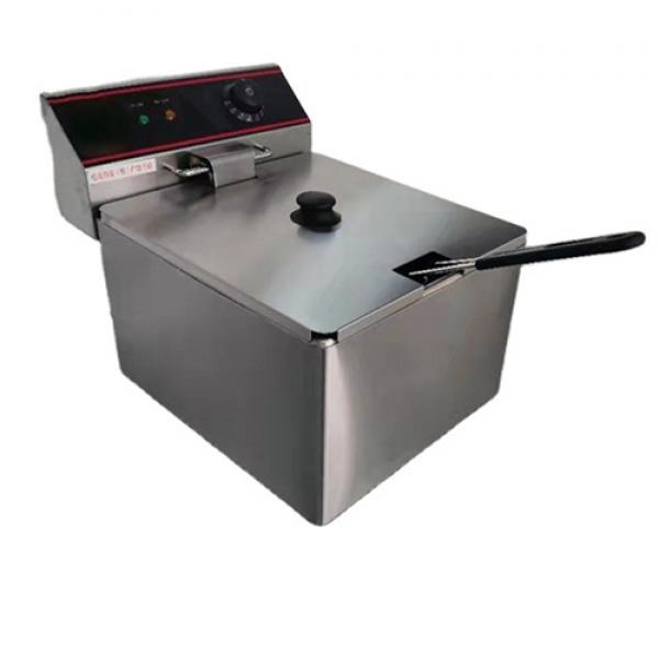 1 Tank 1 Basket Electric Fryer (BFK-11L)