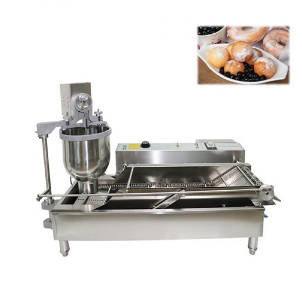 Double Row Automatic Donut Fryer (T-100)